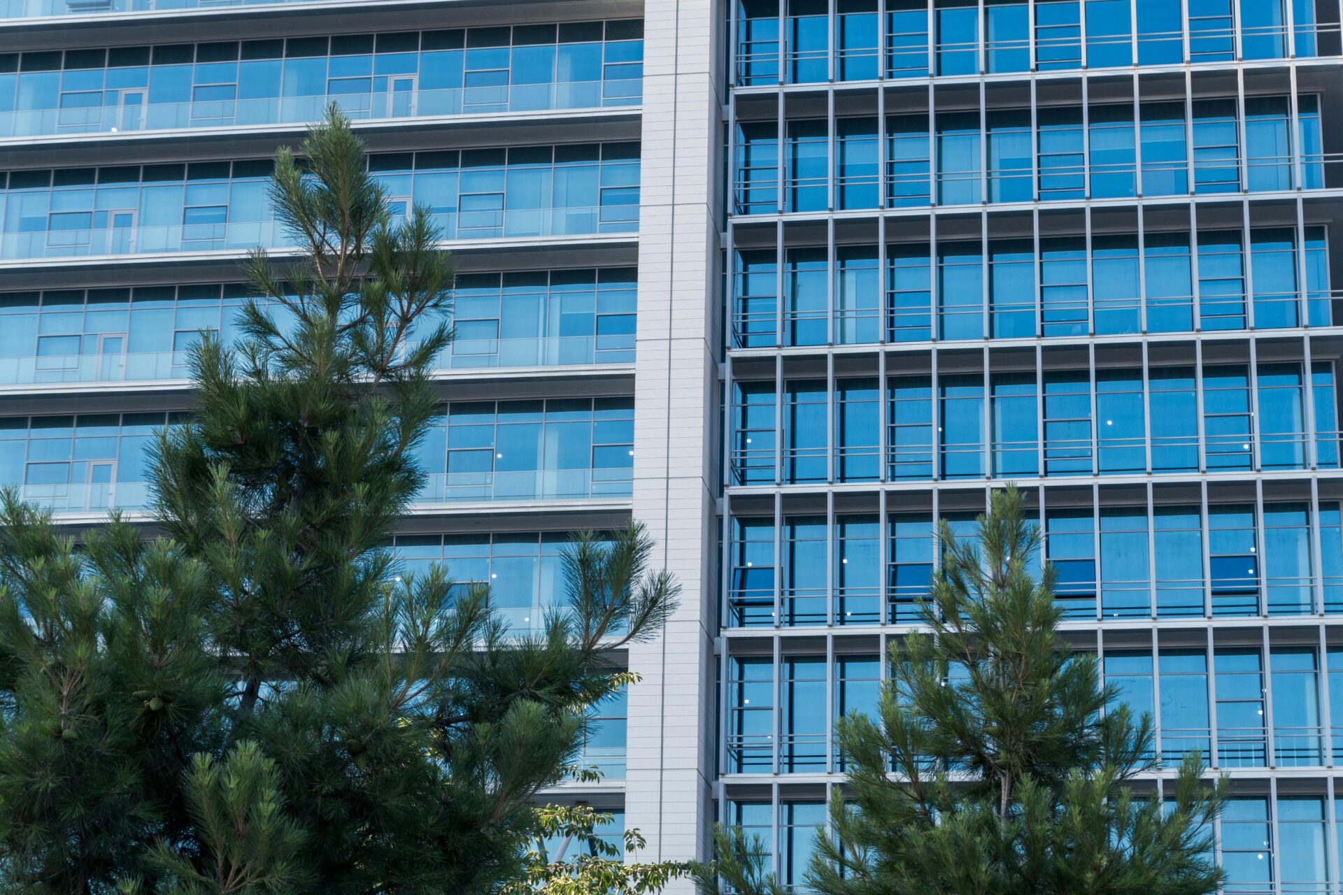 Moderne Glasfassade mit Kiefern im Vordergrund, die eine Mischung aus Stadt und Natur bietet.