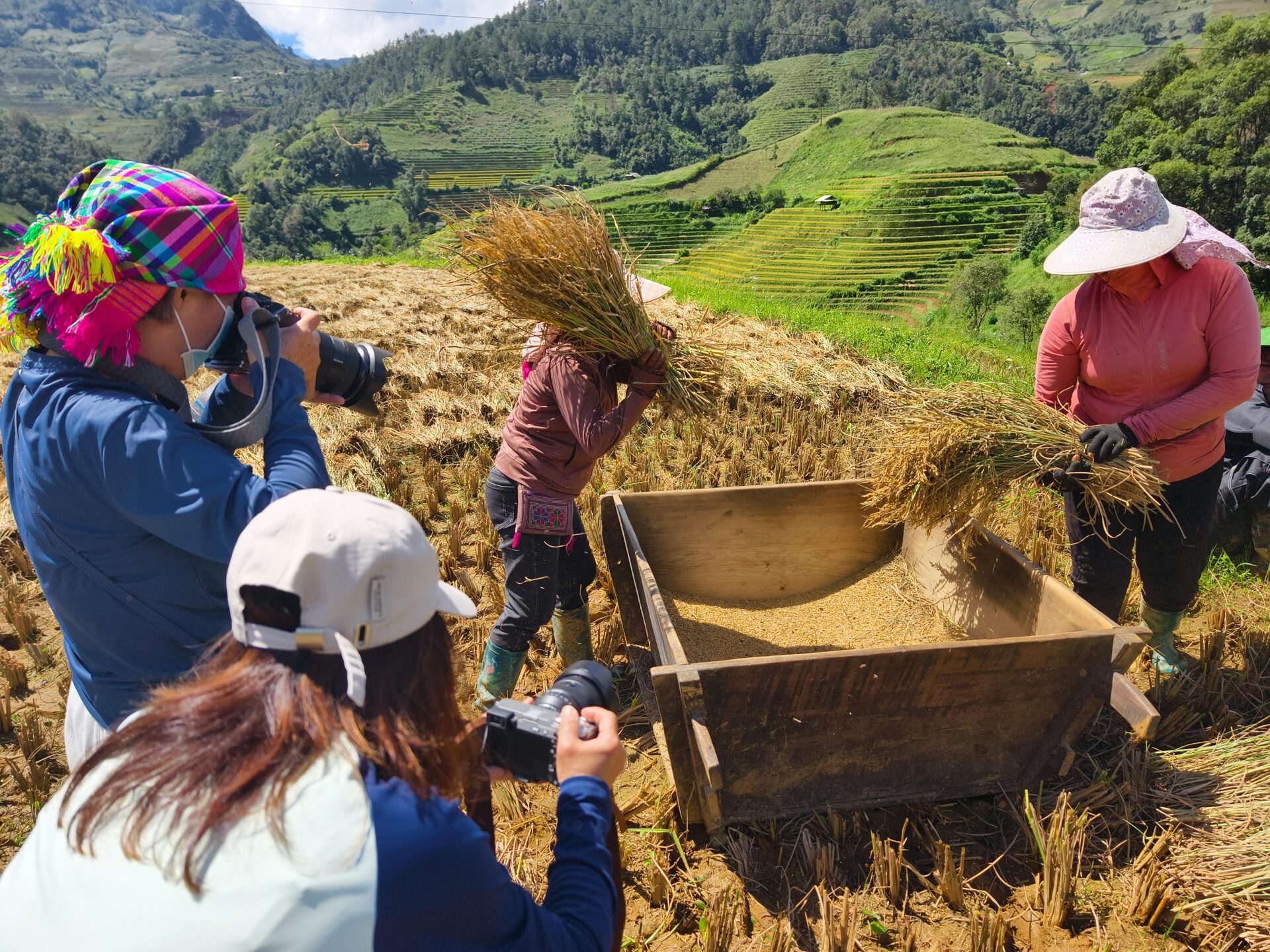 Kostenloses Stock Foto zu anbau, anbauprozess, asien