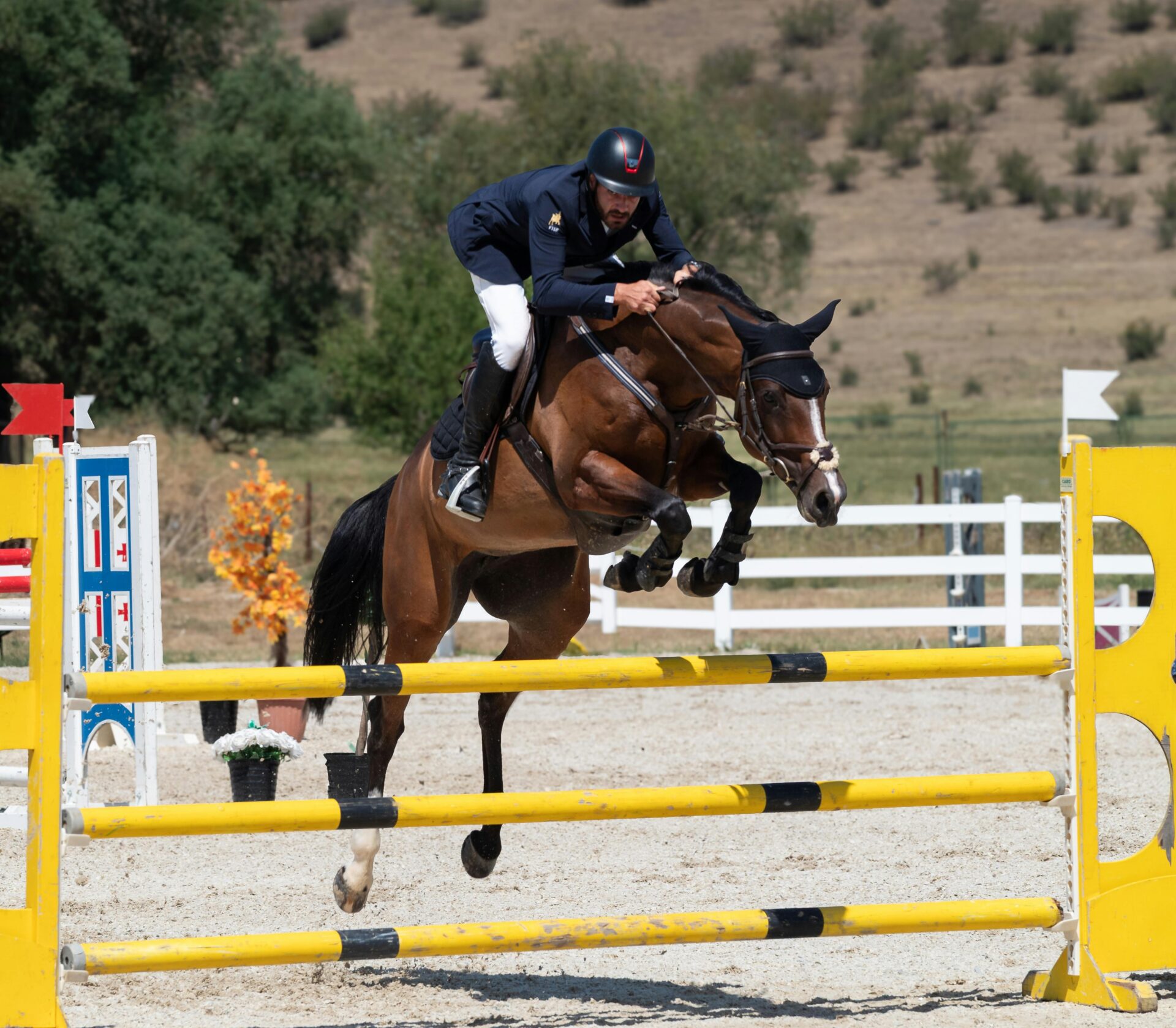 Kostenloses Stock Foto zu asien, braunes pferd, d&Atilde;&para;rfliche gegend